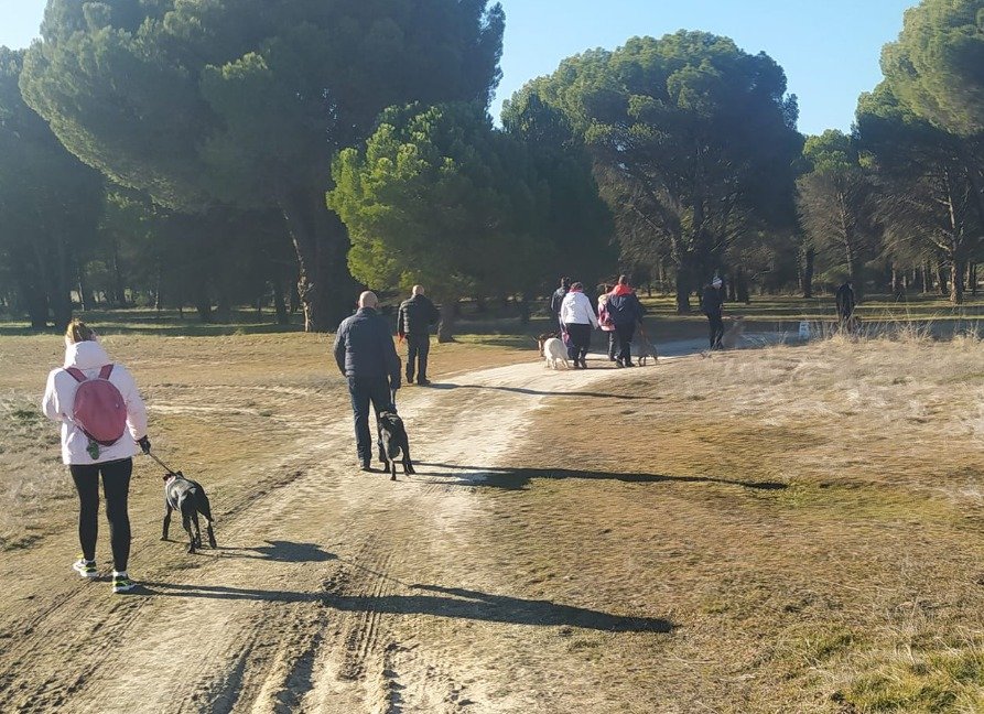 whatsapp image 2025 12 25 at 20.53.56