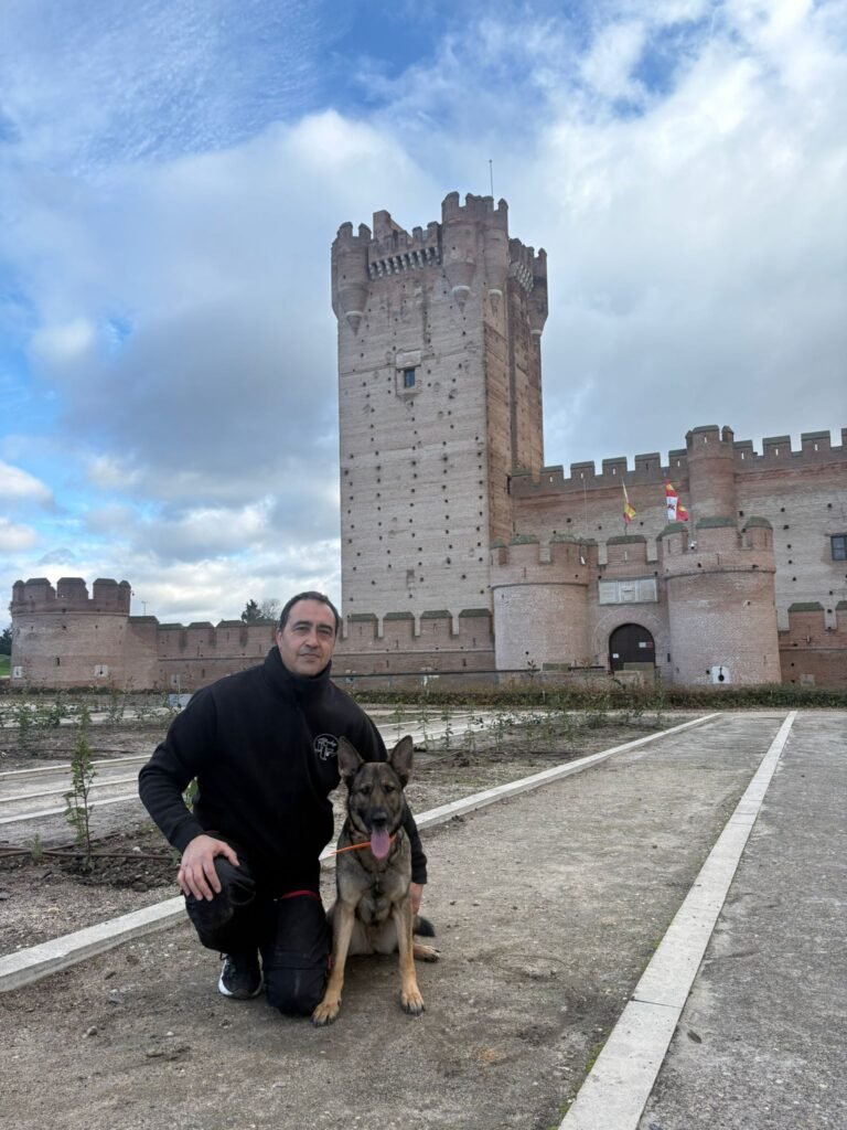 whatsapp image 2025 12 25 at 21.08.39